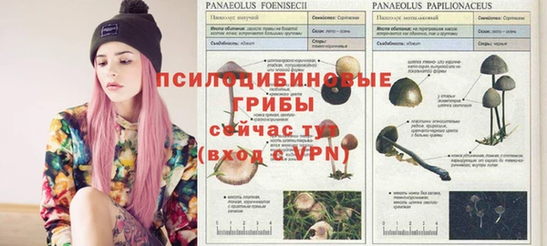 экстази Алексин