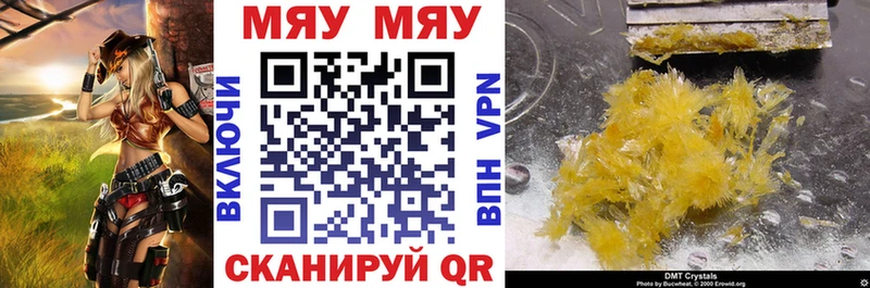 omg вход Санкт-Петербург МЕФ мяу мяу