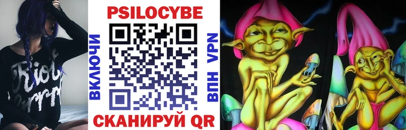 Галлюциногенные грибы Psilocybe  где найти   Санкт-Петербург 